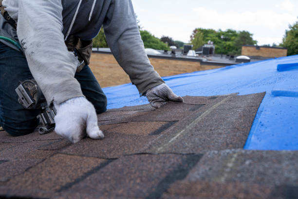 Best Metal Roofing Installation  in Potomac Park, CA